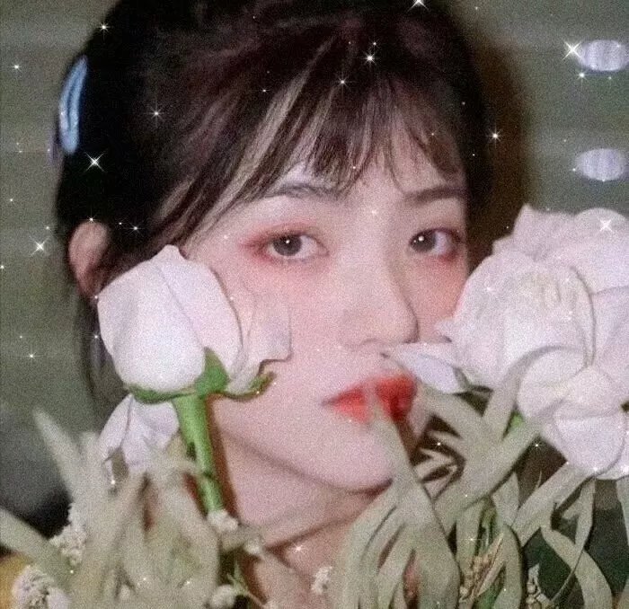 致不灭的你第二季